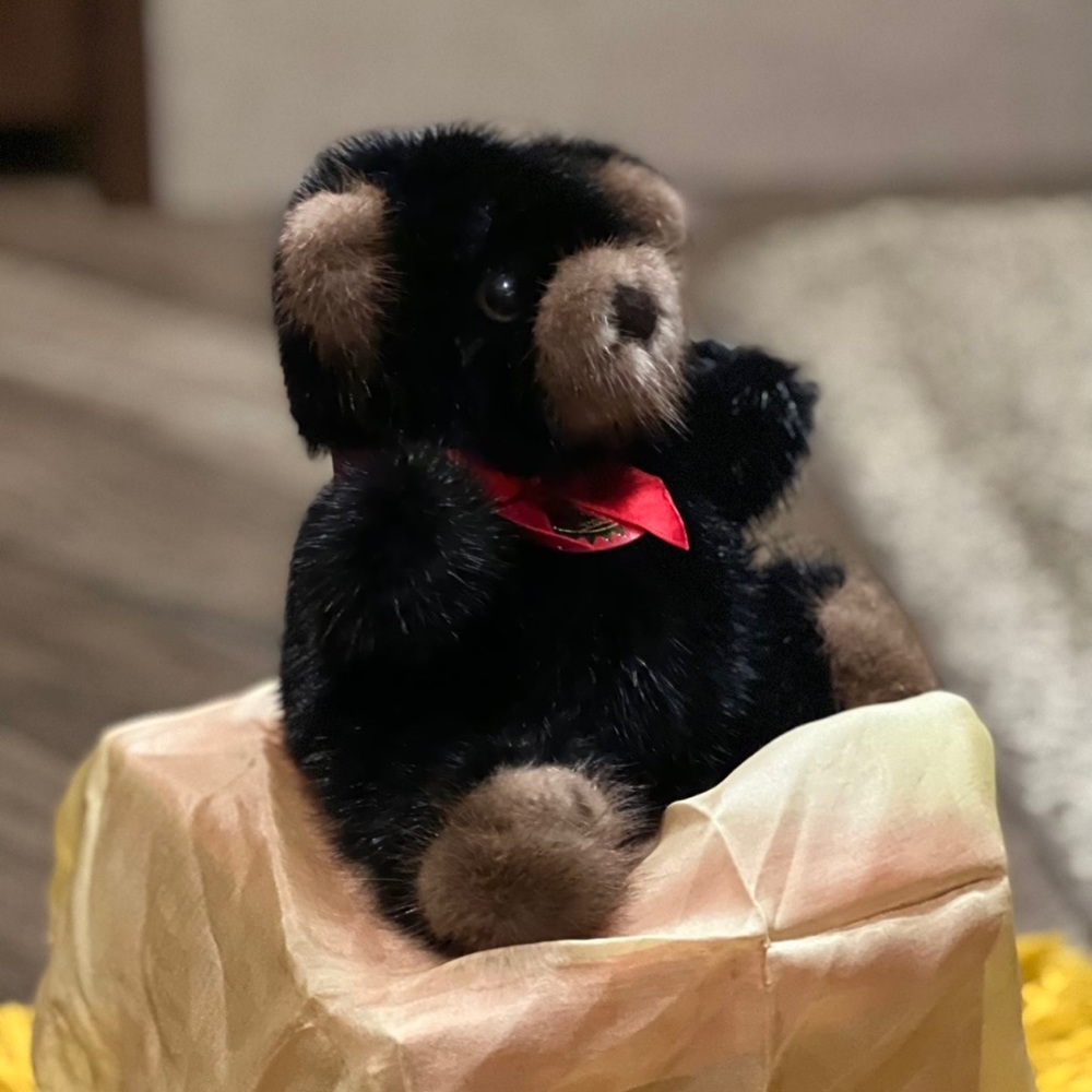 Mervyn’s Teddy Bear Lightly handled Genuine Mink Hair Certification inside